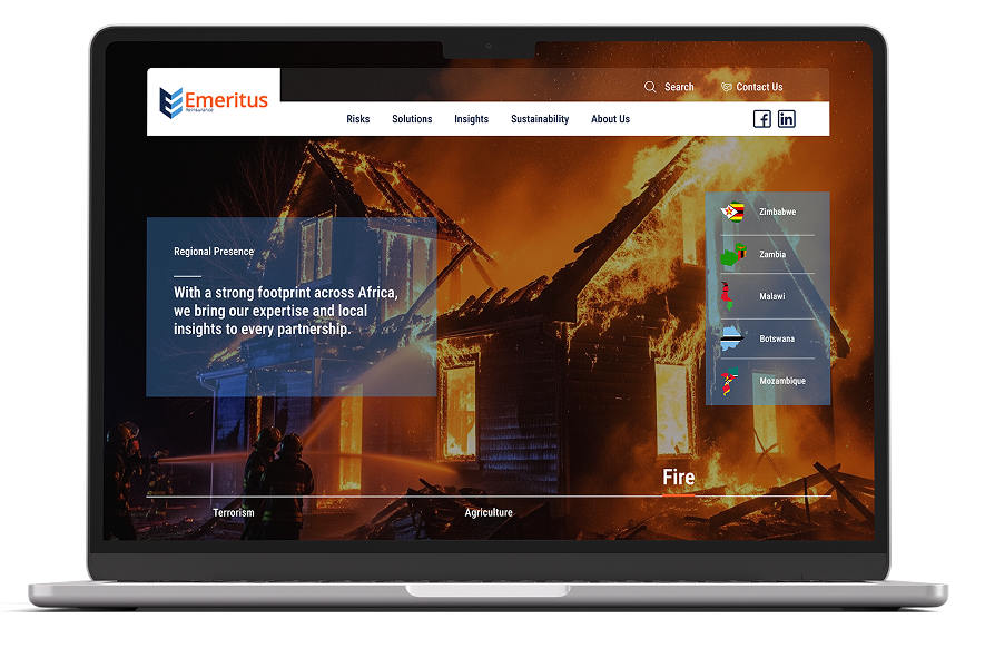 Emeritus Website mockup